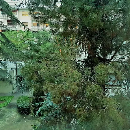 Holiday B&B 1984 Affittacamere *